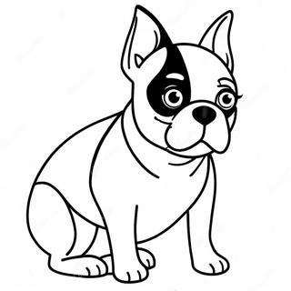 Boston Terrier Ausmalbild 16422-13839