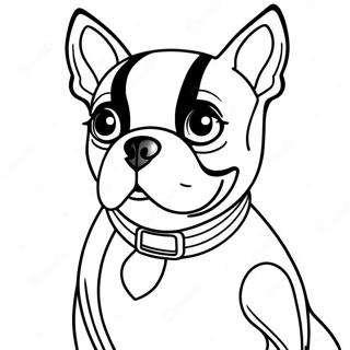 Boston Terrier Ausmalbild 16422-13840