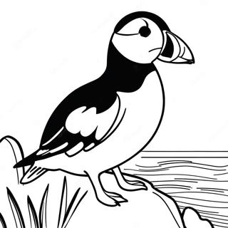 Puffin Rock Ausmalbild 16652-14023