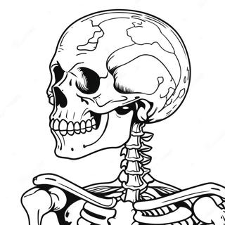 Ausmalbild Eines Detaillierten Menschlichen Skeletts 17174-14441