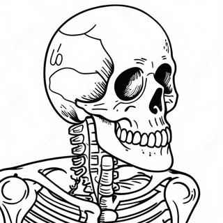 Ausmalbild Eines Detaillierten Menschlichen Skeletts 17174-14442