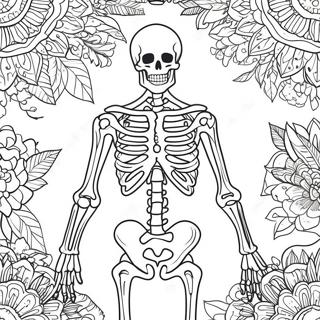 Ausmalbild Eines Detaillierten Menschlichen Skeletts 17174-14443