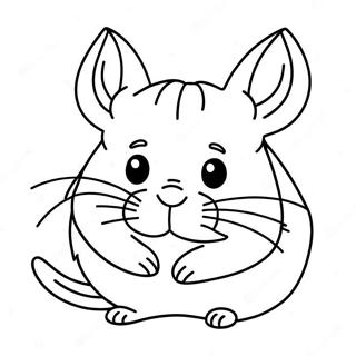 Chinchilla Ausmalbilder