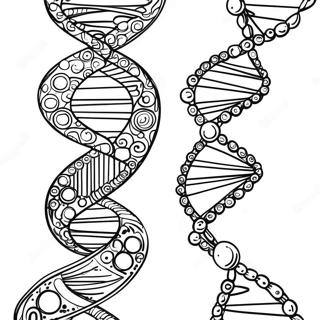 Dna Doppelhelix Ausmalbild 26186-24018