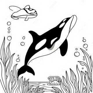 Orca Ausmalbilder