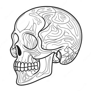 Schadel Anatomie Diagramm Ausmalbild 41338-34319