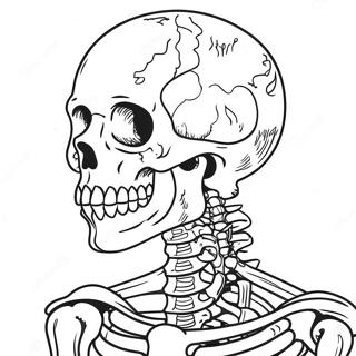 Detailliertes Ausmalbild Des Menschlichen Skeletts 41400-34349