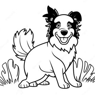 Verspielter Border Collie Ausmalbild 43803-36439