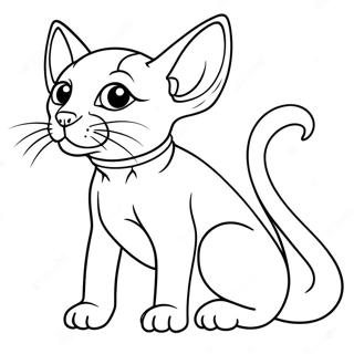 Sphynx Katze Ausmalbild 47383-39432