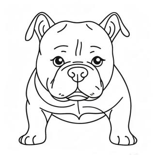 American Bully Ausmalbild 47604-39586