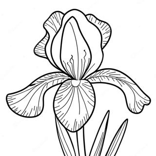 Iris Blumen Ausmalbild 52606-43753