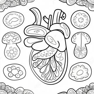 Bunte Verdauungsorgane Ausmalbild 53639 44716