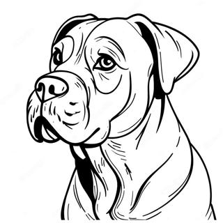 Cane Corso Ausmalbilder