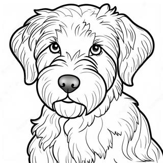 Aussiedoodle Ausmalbild 55261-45972