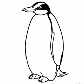 Kaiser Pinguin Ausmalbild 58715-48767