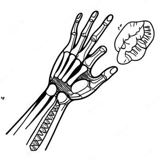 Rontgen Arm Und Hand Ausmalbild 61877-51289