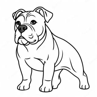 Amerikanischer Bulldogge Ausmalbilder