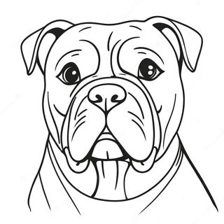 Amerikanischer Bulldogge Ausmalbild 62066-51434