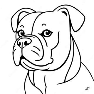 Amerikanischer Bulldogge Ausmalbild 62066-51436