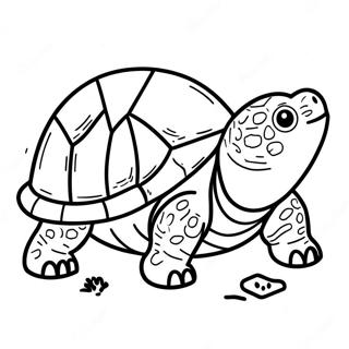 Schnappschildkrote Ausmalbild 65830-54376