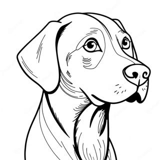 Weimaraner Hund Ausmalbild 66440-54894