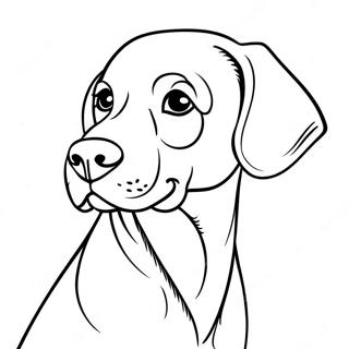 Weimaraner Hund Ausmalbild 66440-54896