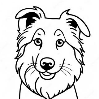 Collie Hund Ausmalbild 72073-59542