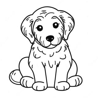 Goldendoodle Welpe Ausmalbild 7934-6444