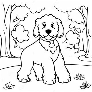 Flauschiger Goldendoodle Der Im Park Spielt Ausmalbild 7935-6446