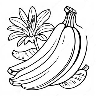 Banane Ausmalbilder