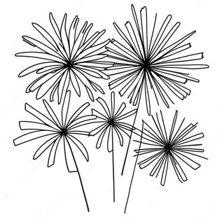 Feuerwerk Ausmalbild 9256-7559