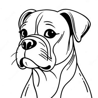 Boxer Hund Ausmalbild 9746-7956