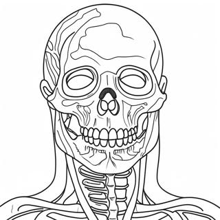 Anatomie Ausmalbild 981-784